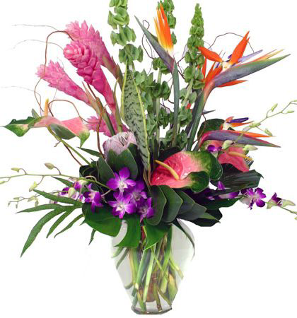 Island Paradise Tropical Collection  3-day advance order