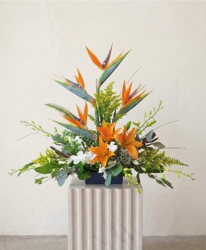 Island Radiance Arrangement