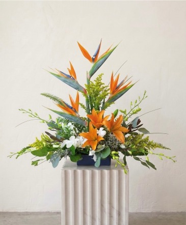 Island Radiance Arrangement in Winnipeg, MB | CHARLESWOOD FLORISTS