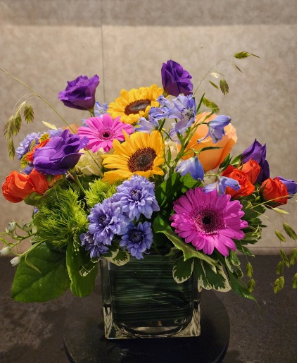 Island Sun  cube arrangement