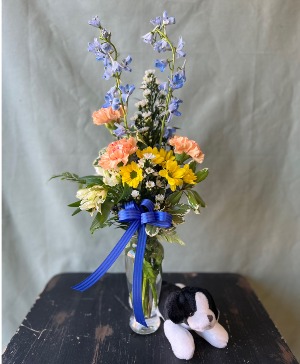 It's a Boy! 