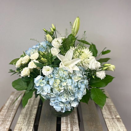 It’s a Boy 