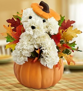 It's a Great Dog Gone Day in Autumn!  NO LID In 5.5" NEW Ceramic Pumpkin WITHOUT LID