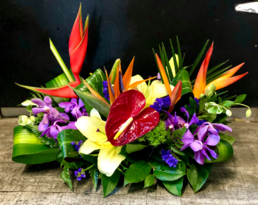 It's Always Sunny Centerpiece Floral Arrangement in Key West, FL | Petals & Vines