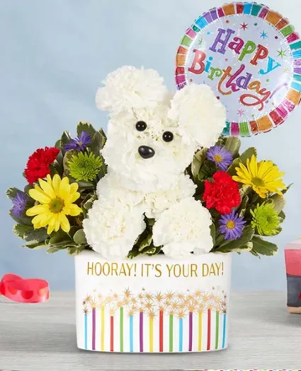 It's Your Day Party Pooch with Balloon Birthday