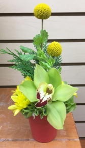 Itty Bitty Orchid Dish Arrangement