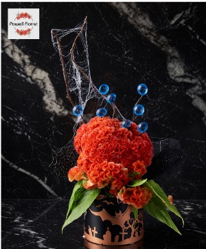 I’ve got my eyes on you Powell Florist Exclusive 