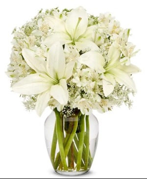 Ivory Dreams  