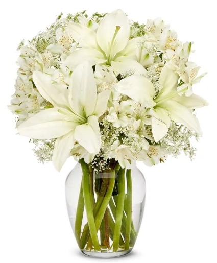 Ivory Dreams  