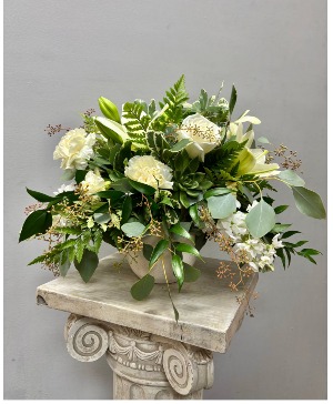 Ivory Oasis Fresh