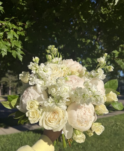Ivory Romance  