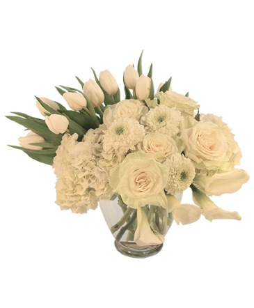 Ivory Splendor Arrangement in Etobicoke, ON | THE POTTY PLANTER FLORIST