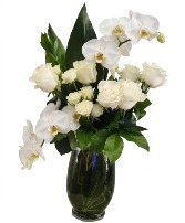 Ivory Sugarplum Orchid Fairy  