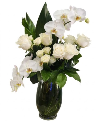 Ivory Sugarplum Orchid Fairy  