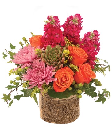 Ivy Rose Bouquet Arrangement in Newark, OH | JOHN EDWARD PRICE FLOWERS & GIFTS