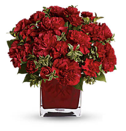 Jack of Diamonds  Valentine 