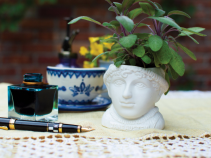 Jane Austen planter for 2" plants
