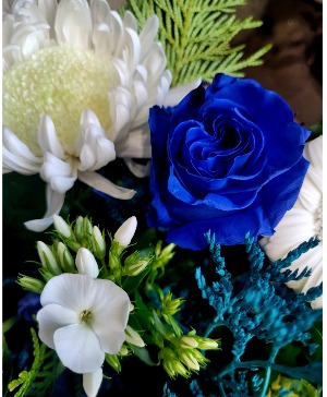 Blue's 