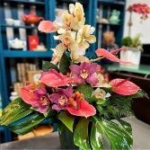 Jasper Yacht Exclusive