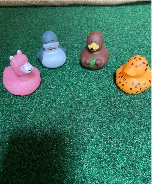 jeep animal duck set of 24 perfect for the jeep lover passout to your favorite jeep