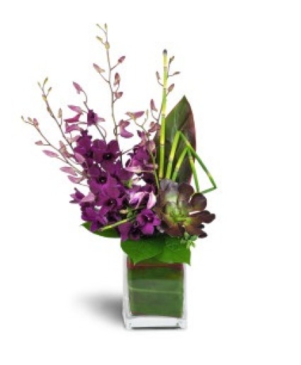 Jewels of purple 