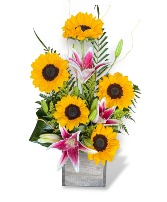 Golden Girl sunflowers