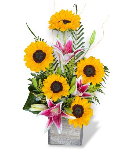 Golden Girl sunflowers