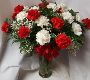 2 dozen RED AND WHITE...(E)  carnations arranged in a vase with filler. Shows red and white 