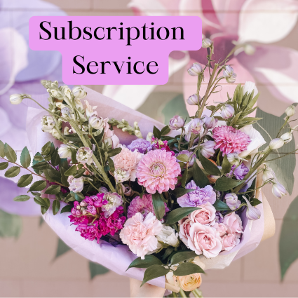 SF Join Our Subscription Service 