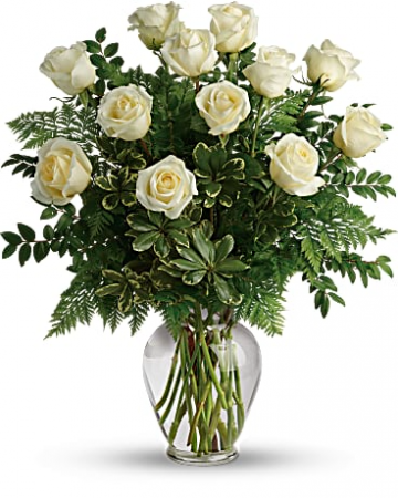 Joy of Roses 