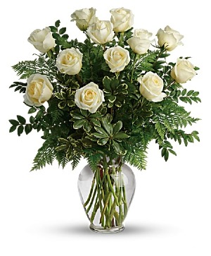Joy of Roses 1 Dozen White Roses