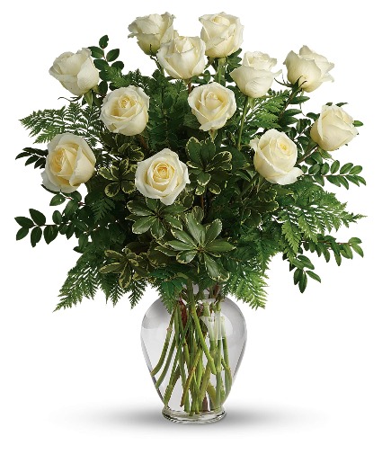 Joy of Roses 