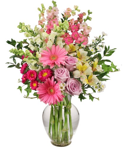 Joy of spring spring flowers