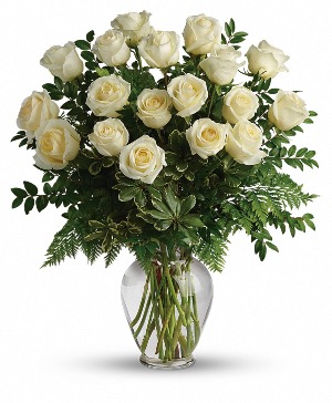 Joy of White Roses 