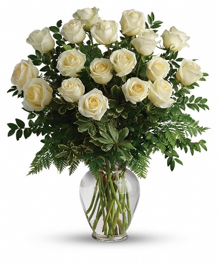 Joy of White Roses 