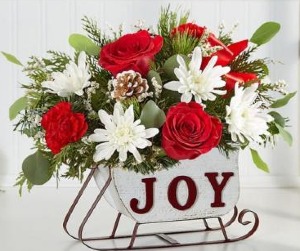 Joy Sleigh 