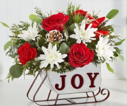 Joy Sleigh 