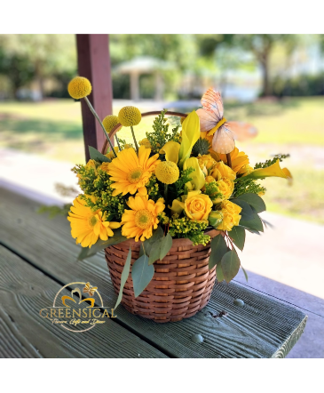 Joyful Begginins   in Delray Beach, FL | Greensical Flowers Gifts & Decor