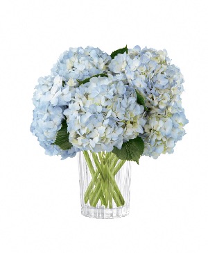  Joyful Inspirations Bouquet 