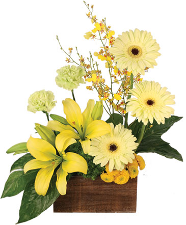 Joyous Sunlight Floral Design in Wilmington, DE | EVERLASTING BEAUTY FLORAL DESIGNS