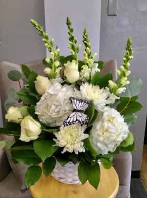 Butterfly Fly $69.99 - $99.99