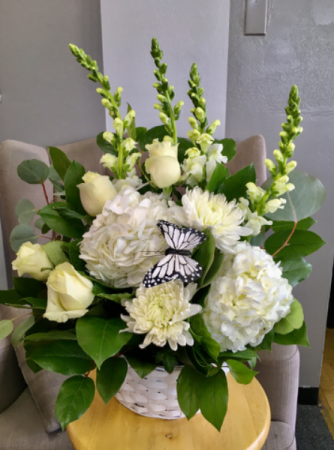 Butterfly Fly $69.99 - $99.99