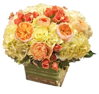 Juliet's Garden Cut Flowers