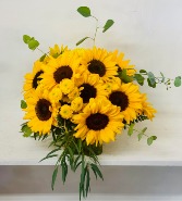 8 -sunflowers/GIALLA SUNFLOWERS facebook special/only tuesday/wednesday/friday