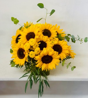 8 -sunflowers/GIALLA SUNFLOWERS facebook special/only tuesday/wednesday/friday
