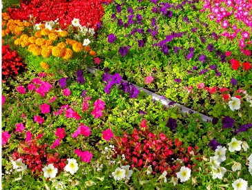 WEDNESDAY JUNE 3, 2026 @ 6:30PM Garden Pot Workshop  in Troy, NY | PAWLING FLOWERS & GIFTS