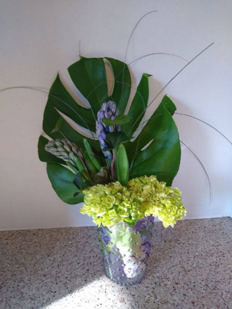 June Feature of the Month Show Casing Hyacinths