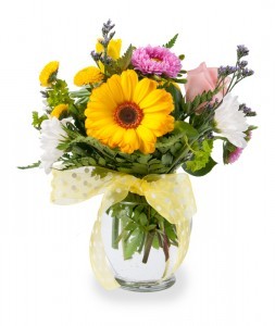 Just Because Vase Fresh cut flowers in bubble vase