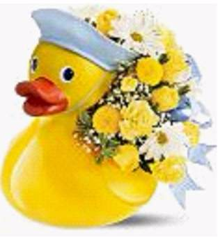 Just Ducky (Baby Boy) Arrangement for Baby Boy