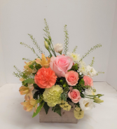 Just for Her 